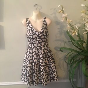 Taylor by Ann Taylor Polkadot dress